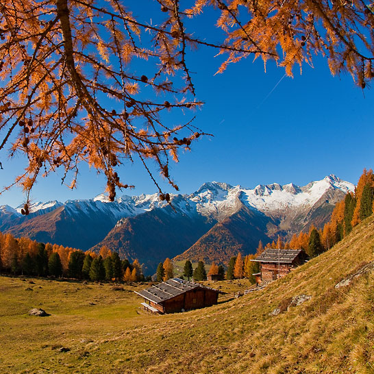 Kunstweberei FRANZ - traditionelle Jacquardweberei Südtirol